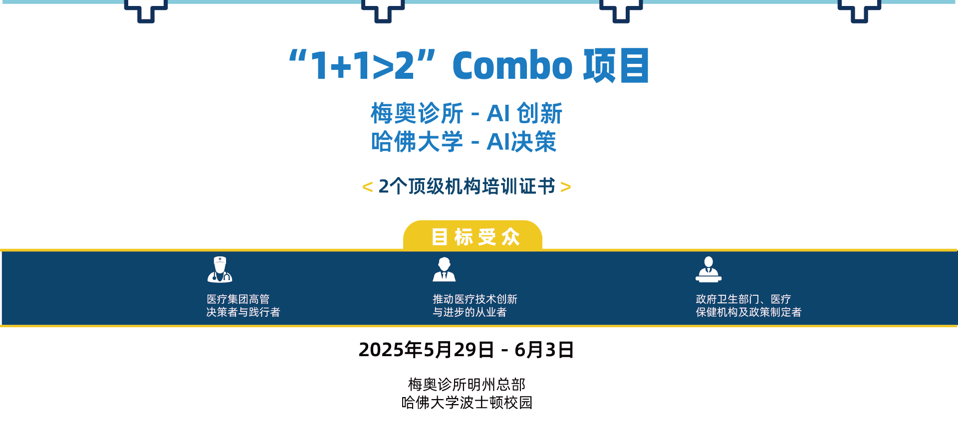 梅奥+哈佛 AI创新与决策项目
